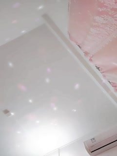 亡命使徒电影免费观看-日韩伦理BD在线观看