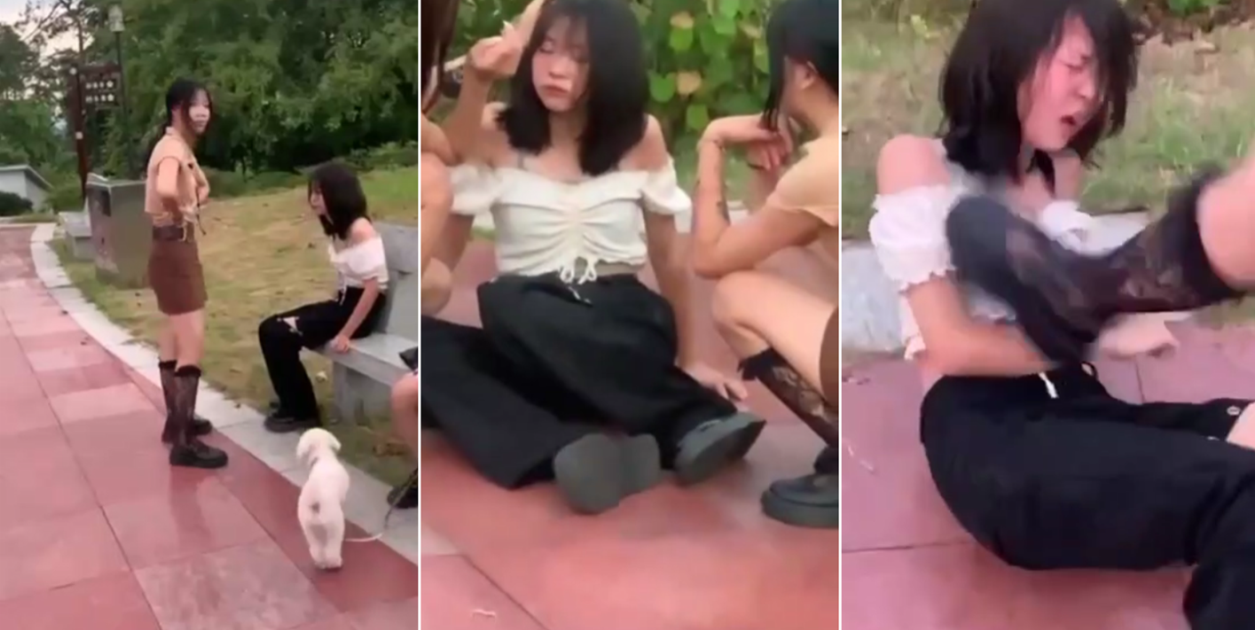 强行征服邻居人妻hd高清-高清影视电影免费国语