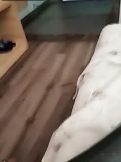 365第二季-电影天堂神马影院在线