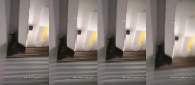 班淑传奇 电视剧-原版加长电影免费国语