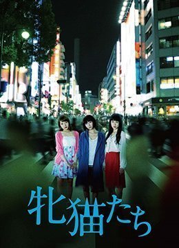 被粗汉cao哭高h野外糙汉视频-免费国语在线播放观看