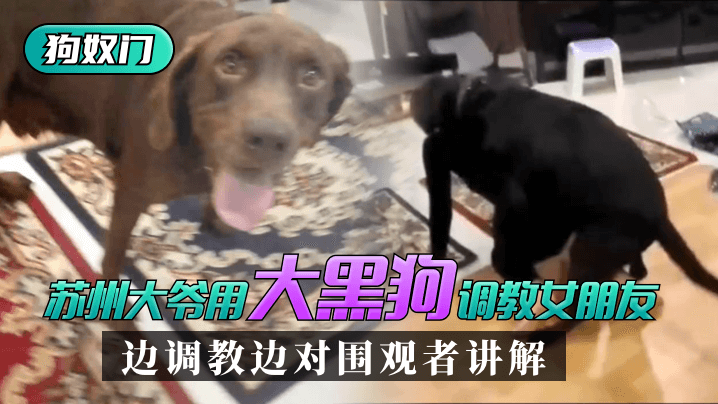 黄色网清风阁-全集无删减国语迅雷下载