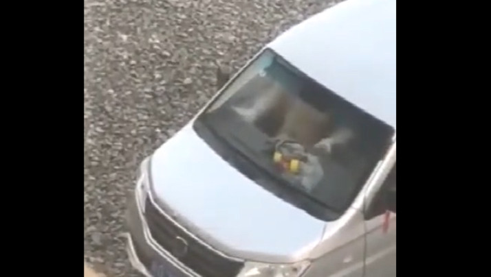 日本黄色大片大学生麻豆传媒-日韩电影神马影院