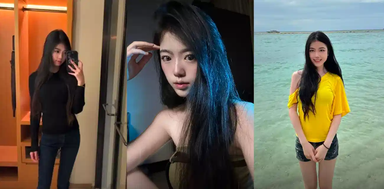 踏血寻梅电影播放-影音资源神马在线观看