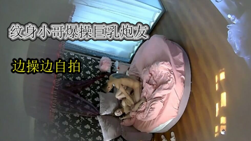 欧美xxxx色性交叉免费大片-院线抢先DVD国语在线观看