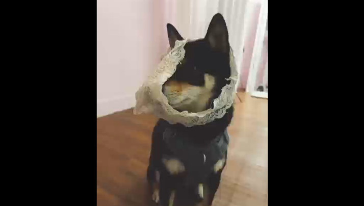 从指尖传出的热情2季-HD日语高清在线观看视频