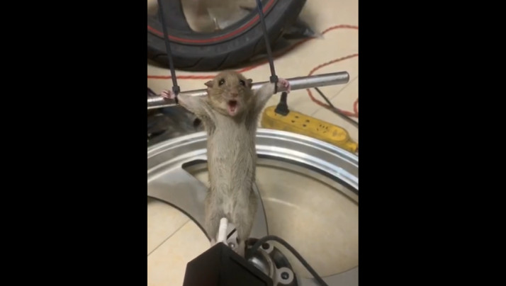 久久久久久久久久亚洲AV无码一区二区三区-BD高清影院完整在线观看